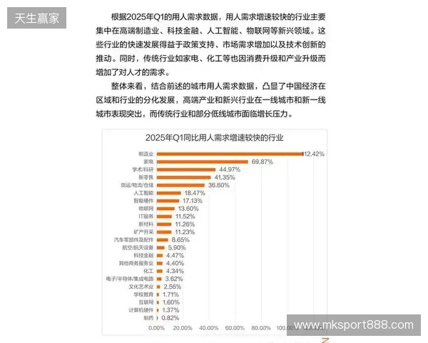 2025年12月虚拟局域网游戏联机方案综合评估报告